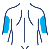 Outline graphic of a silhouette with the back of the upper arms shaded blue